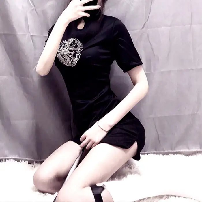 内华达搜熊犬